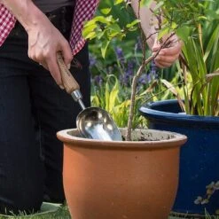 Kent & Stowe Stainless Steel Hand Potting Scoop -Greentide Garden Store 1002024 1