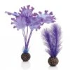 BiOrb Purple Kelp Set Small -Greentide Garden Store 1010069