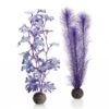 BiOrb Purple Kelp Set Medium 2 BiOrb Purple Kelp Set Medium -Greentide Garden Store 1010070