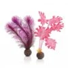 BiOrb Pink Kelp Set Small -Greentide Garden Store 1010071