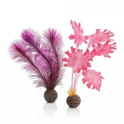 BiOrb Pink Kelp Set Small