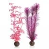 BiOrb Pink Kelp Set Medium 2 BiOrb Pink Kelp Set Medium -Greentide Garden Store 1010072
