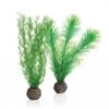 BiOrb Green Feather Fern Set Small -Greentide Garden Store 1010073