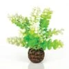 BiOrb Green Caulerpa -Greentide Garden Store 1010074