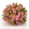 BiOrb Pink Flower Ball -Greentide Garden Store 1010080