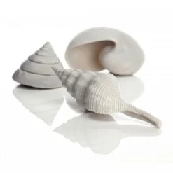 BiOrb White Sea Shells Set