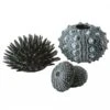 BiOrb Black Sea Urchins Set -Greentide Garden Store 1010112