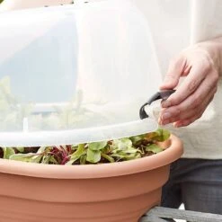 Elho Green Basics Flower Bridge Grow House 55cm -Greentide Garden Store 1024663 4