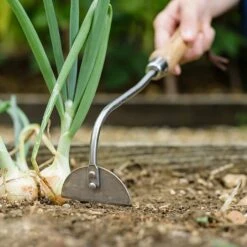 Kent & Stowe Stainless Steel Hand Onion Hoe 5 Kent & Stowe Stainless Steel Hand Onion Hoe -Greentide Garden Store 1031062 1