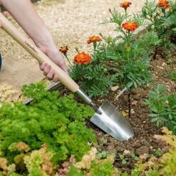 Kent & Stowe Stainless Steel Border Hand Trowel -Greentide Garden Store 1031065 1