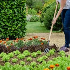 Kent & Stowe Carbon Steel Long Handled Fork -Greentide Garden Store 1031071 1