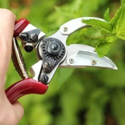 Kent & Stowe Rose Cut & Hold Secateurs -Greentide Garden Store 1031091 1