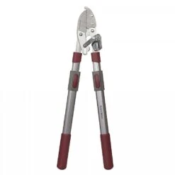 Kent & Stowe Telescopic Ratchet Anvil Loppers