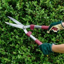 Kent & Stowe General Purpose Hedge Shears -Greentide Garden Store 1031100 1