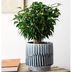 Ivyline Onno Denim Pot Cover - Various Sizes -Greentide Garden Store 1060693 1