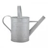 Fallen Fruits Old Zinc Watering Can 1.6L -Greentide Garden Store 1077089