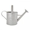 Fallen Fruits Old Zinc Watering Can 8.7L -Greentide Garden Store 1077092