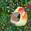Wildlife World Ceramic Robin Bird Feeder 2 Wildlife World Ceramic Robin Bird Feeder -Greentide Garden Store 1104194