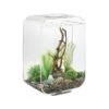 BiOrb Life 15 MCR Clear Aquarium -Greentide Garden Store 1105988