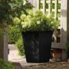 Stewart Garden 40cm Basalt Tall Square Planter - Black -Greentide Garden Store 1115426