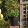 Stewart Garden 40cm Basalt Low Round Planter - Black -Greentide Garden Store 1115429