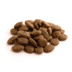 Fish4Dogs Finest Adult Salmon With Potato (Large Kibble) 1.5kg -Greentide Garden Store 1118453 3
