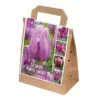 Violet Shades Assorted Tulips (30 Bulbs) -Greentide Garden Store 1119809