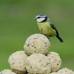RSPB Super Suet Ball 50 Box 5 RSPB Super Suet Ball 50 Box -Greentide Garden Store 1139139 1