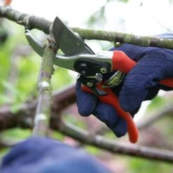 Wilkinson Sword Folding Pruner Saw & Pruner Set -Greentide Garden Store 1140375 2