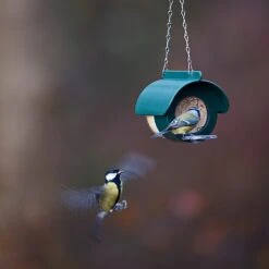 Jacobi Jayne Flutter Butter DeLuxe Feeder (For Pods Or Jars) -Greentide Garden Store 1153038 3