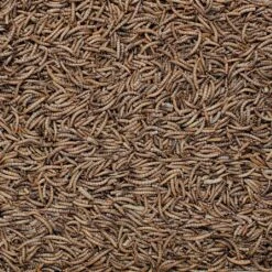 Henry Bell Mealworm For Wild Birds 1kg -Greentide Garden Store 1161354 1