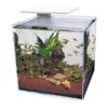 Superfish Qubiq Aquarium 60 Pro White -Greentide Garden Store 1167013