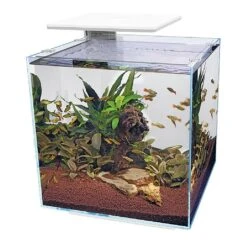 Superfish Qubiq Aquarium 60 Pro White