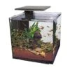 Superfish Qubiq Aquarium 60 Pro Black -Greentide Garden Store 1167014