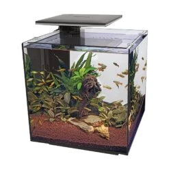 Superfish Qubiq Aquarium 60 Pro Black
