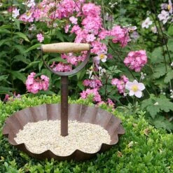 Wildlife World Boxwell Ground Feeder & Drinker -Greentide Garden Store 1171307 1