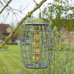 Chapelwood Ultra Squirrel Proof Suet Ball Feeder -Greentide Garden Store 1171787 1