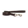 Ancol Latigo Leather Lead 100cm Havana -Greentide Garden Store 1177050