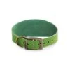 Ancol Timberwolf Greyhound Leather Collar 34-43cm Green -Greentide Garden Store 1177072