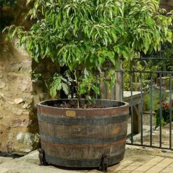 Jardinopia Plant Pot Feet Bronze Labrador - Set Of 3 7 Jardinopia Plant Pot Feet Bronze Labrador - Set Of 3 -Greentide Garden Store 1177293 3