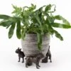 Jardinopia Plant Pot Feet Bronze French Bulldog -Greentide Garden Store 1177301