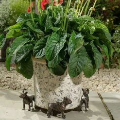 Jardinopia Plant Pot Feet Bronze French Bulldog -Greentide Garden Store 1177301 3