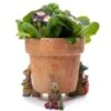 Jardinopia Beatrix Potter Benjamin Bunny Plant Pot Feet - Set Of 3 2 Jardinopia Beatrix Potter Benjamin Bunny Plant Pot Feet - Set Of 3 -Greentide Garden Store 1177317
