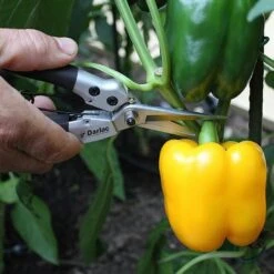 Darlac Compact Snips -Greentide Garden Store 1202076 2