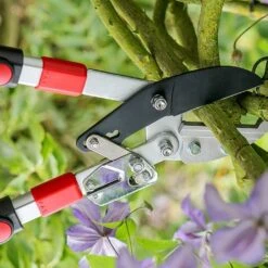 Darlac Telescopic Ratchet Lopper -Greentide Garden Store 1202099 2
