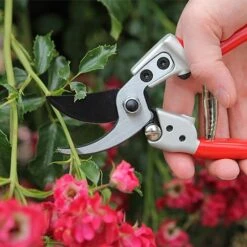 Darlac Expert Medium Bypass Pruner 7 Darlac Expert Medium Bypass Pruner -Greentide Garden Store 1202118 2