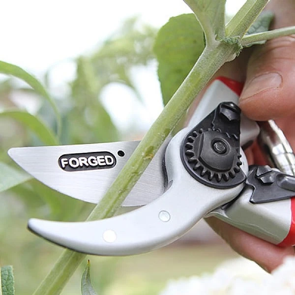 Darlac Expert Drop Forged Pruner 5 Darlac Expert Drop Forged Pruner - Image 3