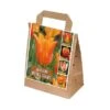Tulipa Orange Shades (Bag Of 30) -Greentide Garden Store 1212231