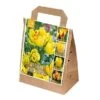 Tulipa Yellow Shades (Bag Of 30) -Greentide Garden Store 1212232