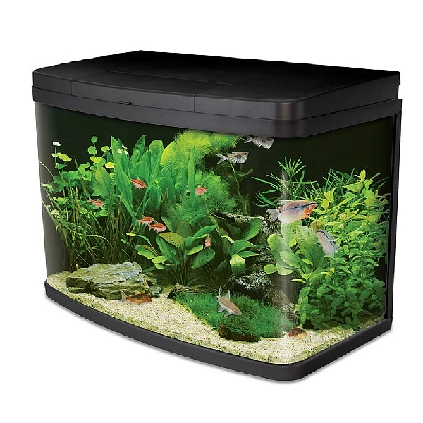 Interpet Insight LED Aquarium – 64L 3 Interpet Insight LED Aquarium – 64L